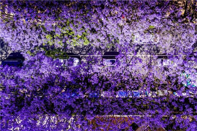 2026041508301819976.003